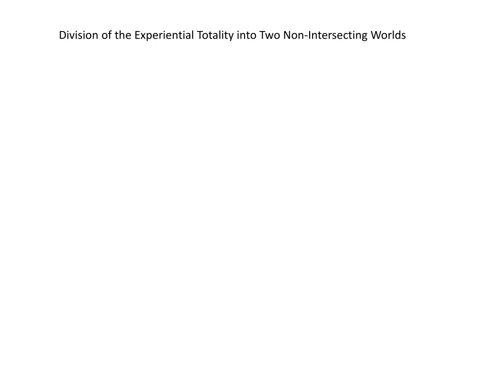 division of the experiential totality into