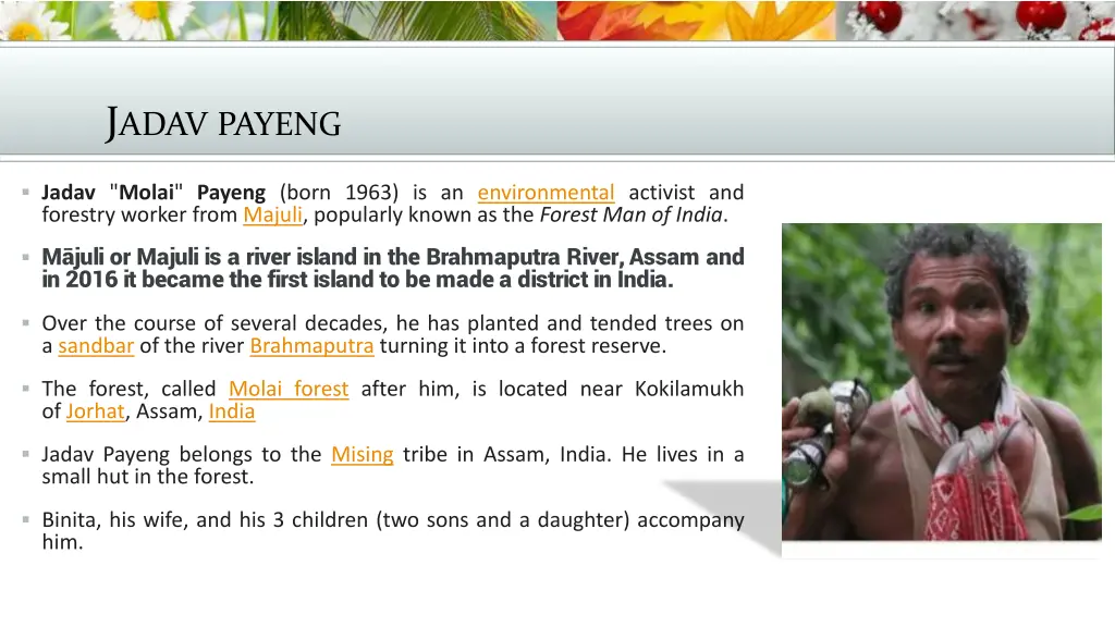 j adav payeng