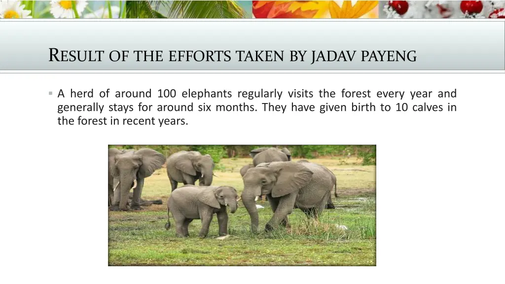r esult of the efforts taken by jadav payeng