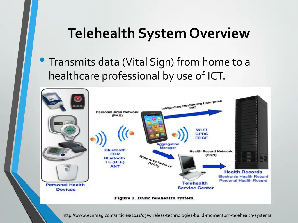 telehealth system overview