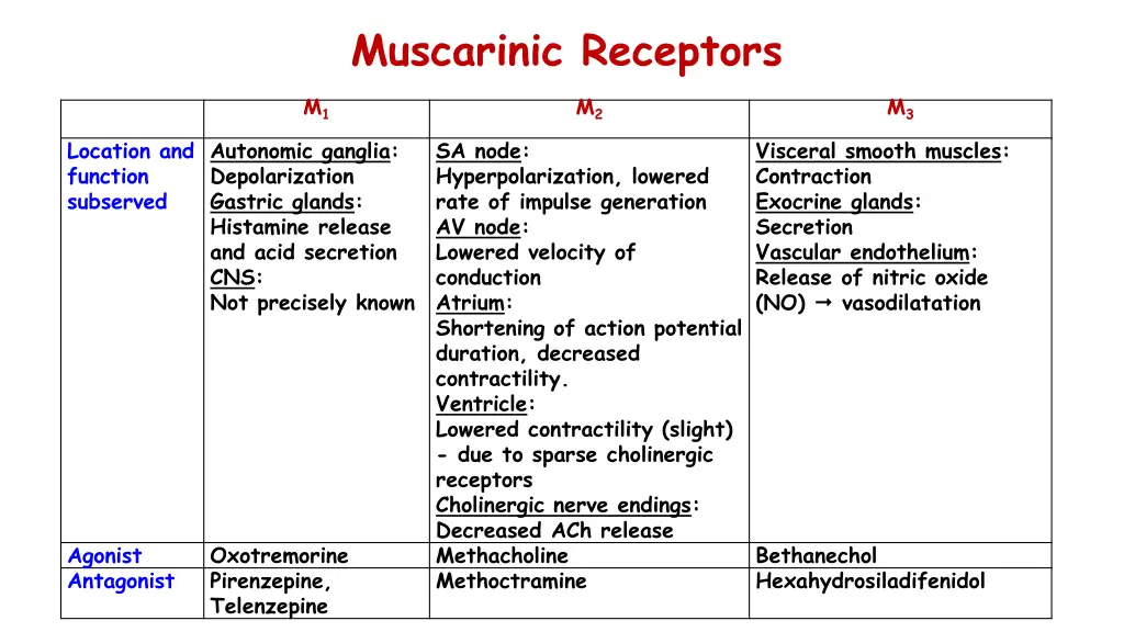 muscarinic receptors