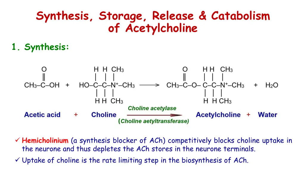 synthesis storage release catabolism