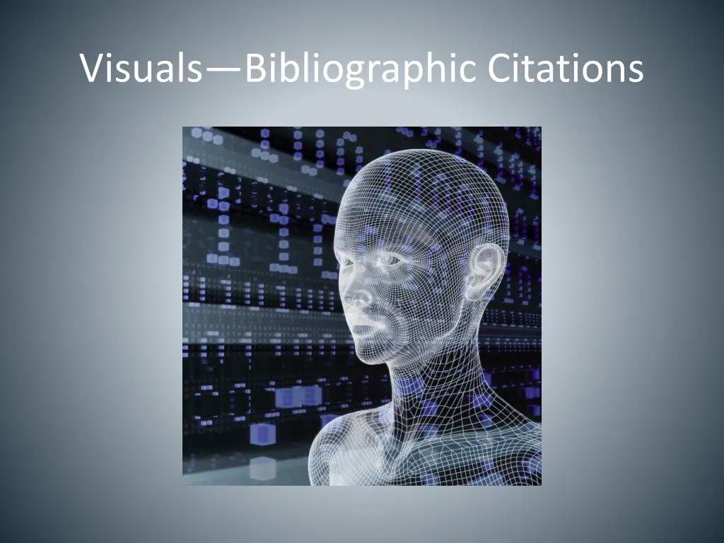 visuals bibliographic citations