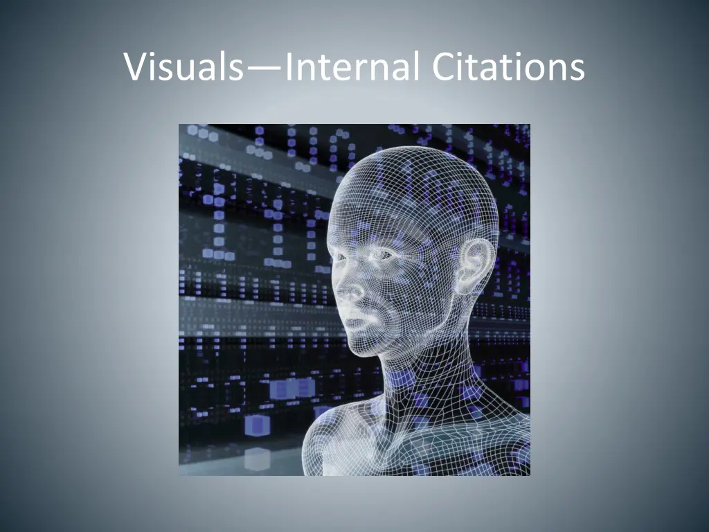 visuals internal citations