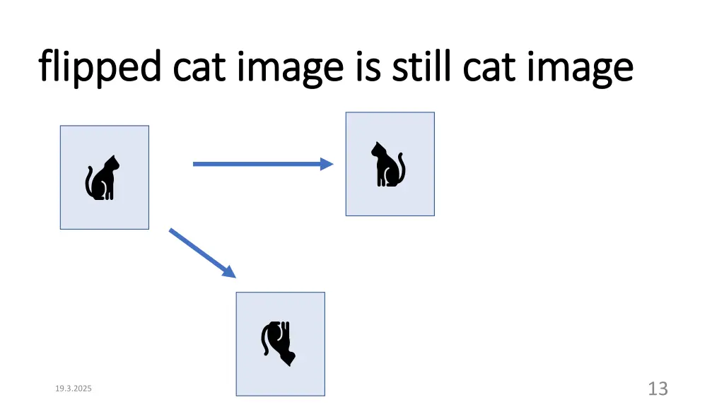 flipped cat image is still cat image flipped