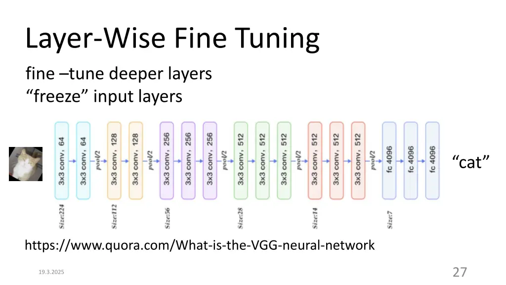layer wise fine tuning fine tune deeper layers