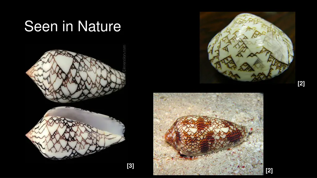 seen in nature