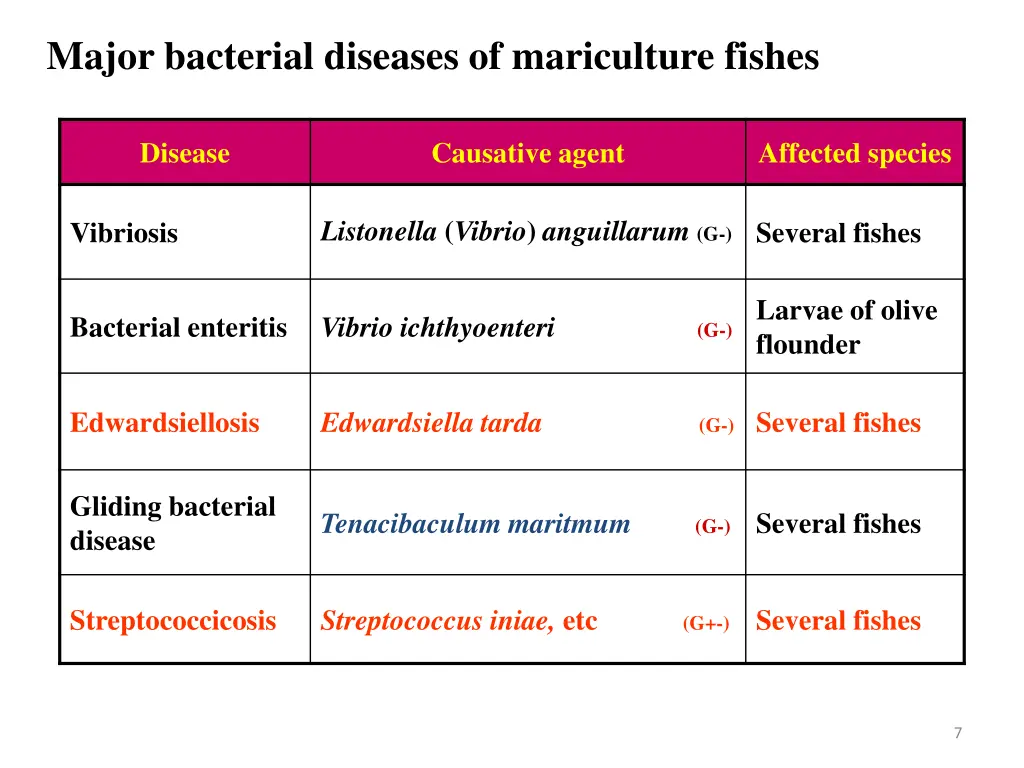 major bacterial diseases of mariculture fishes