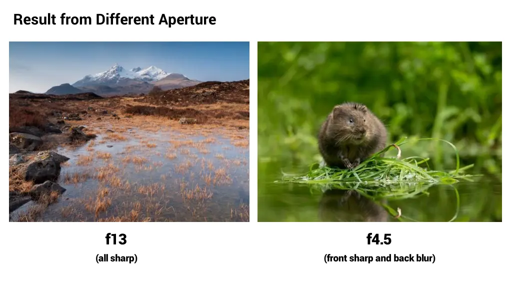 result from different aperture
