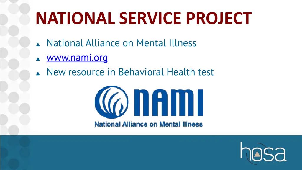 national service project