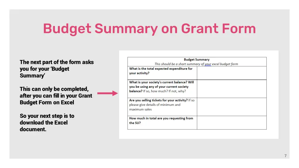 budget summary on grant form