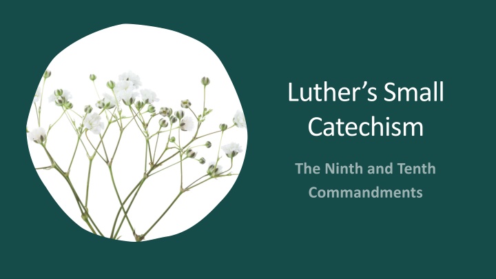 luther s small catechism