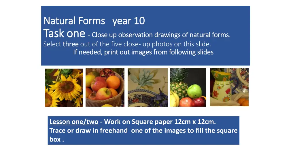 natural forms natural forms year 10 task one task