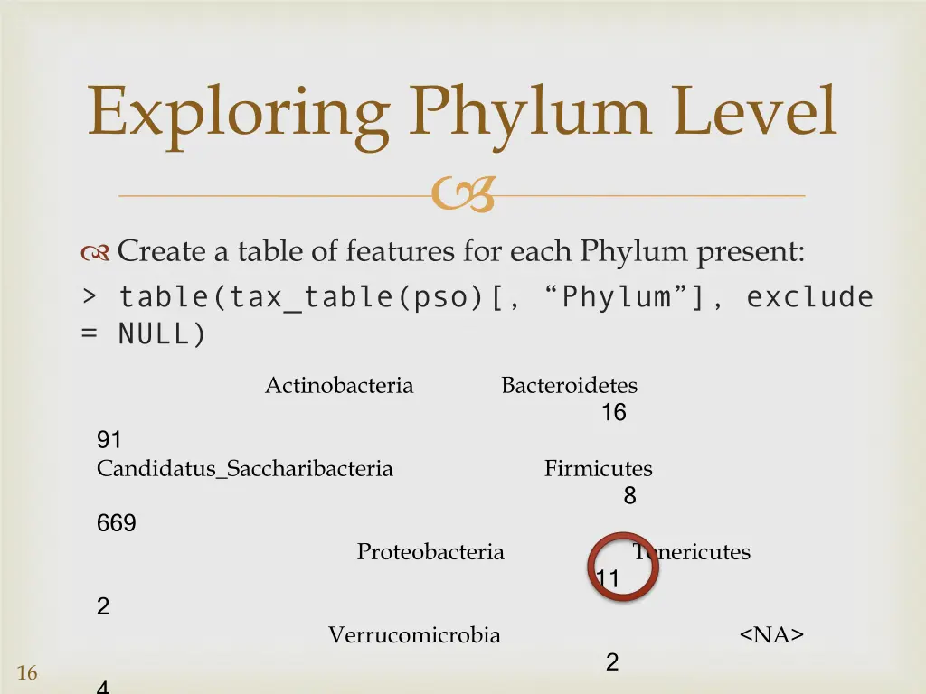 exploring phylum level