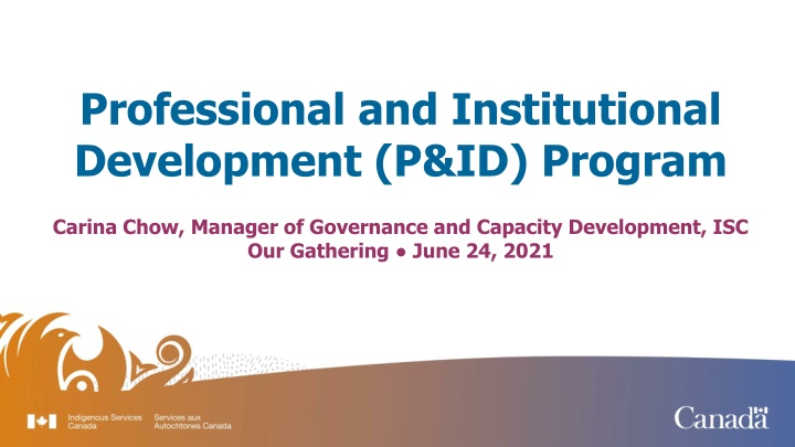 professional and institutional development