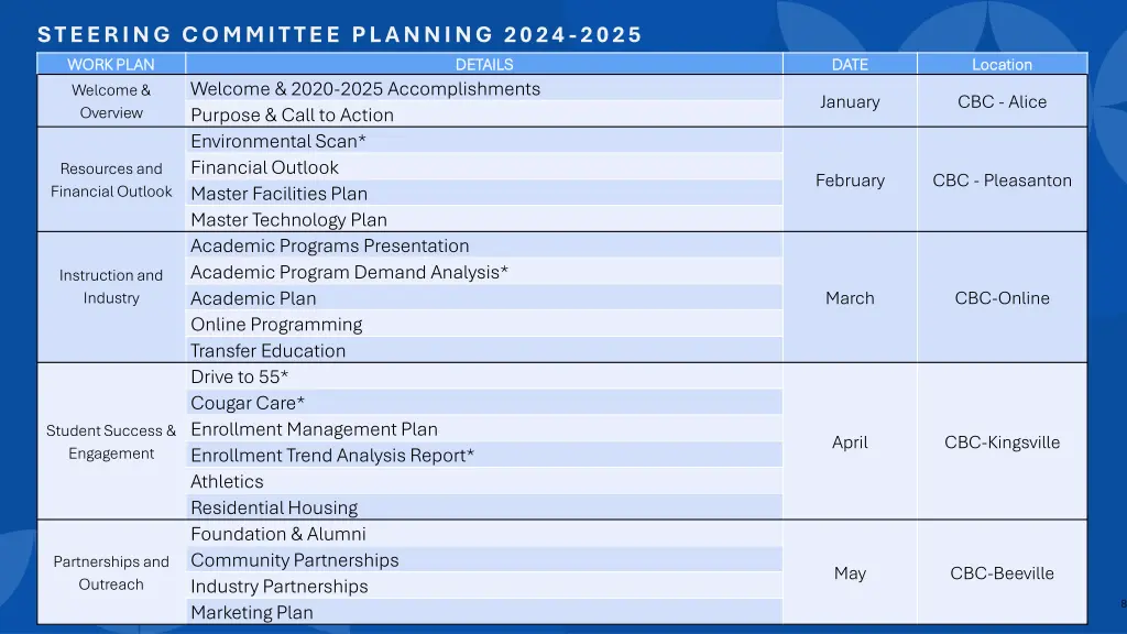 steering committee planning 2024 2025 work plan