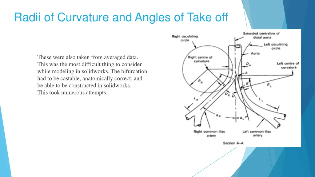 radii of curvature and angles of take off