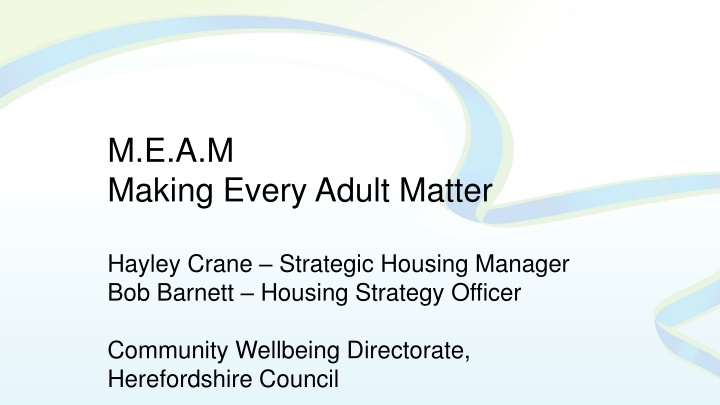m e a m making every adult matter