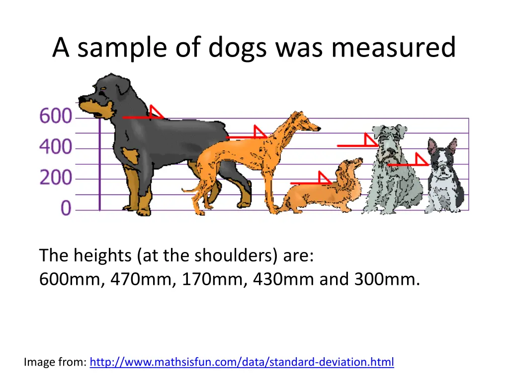 a sample of dogs was measured