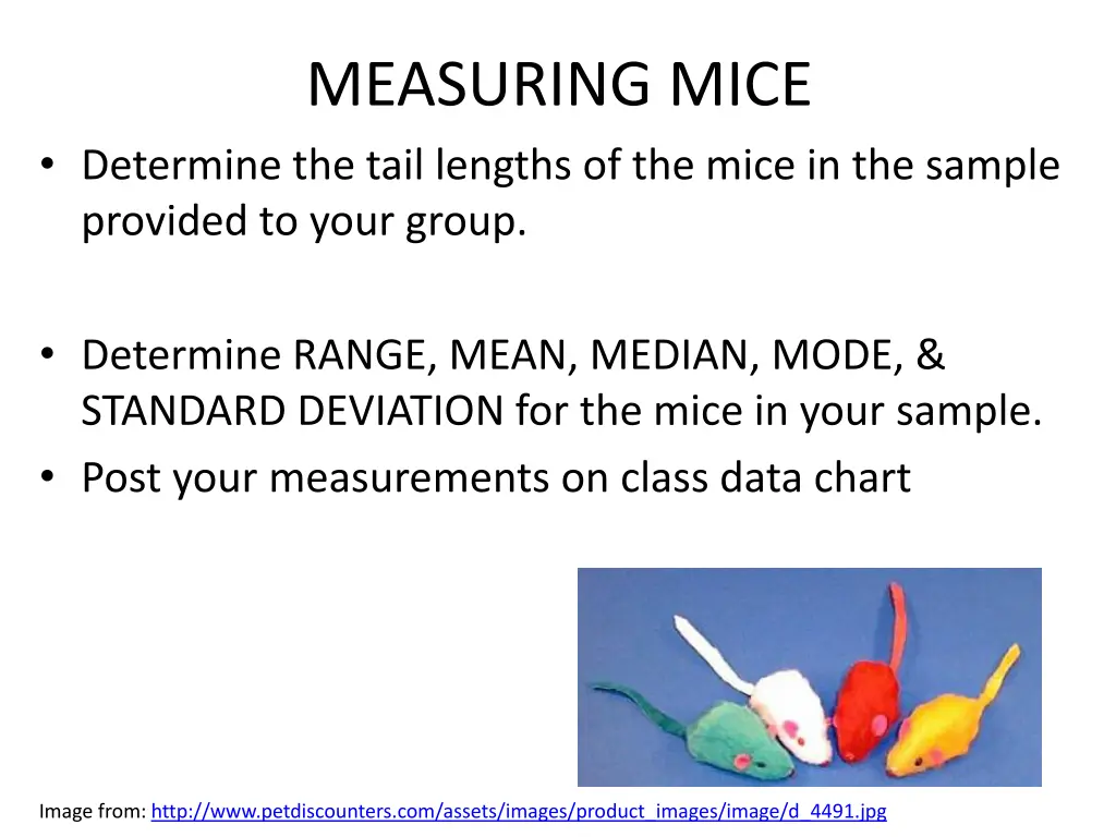 measuring mice
