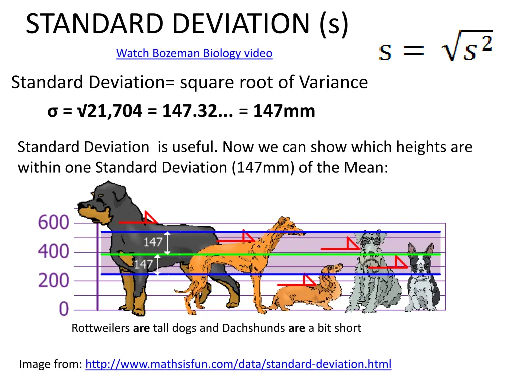 standard deviation s