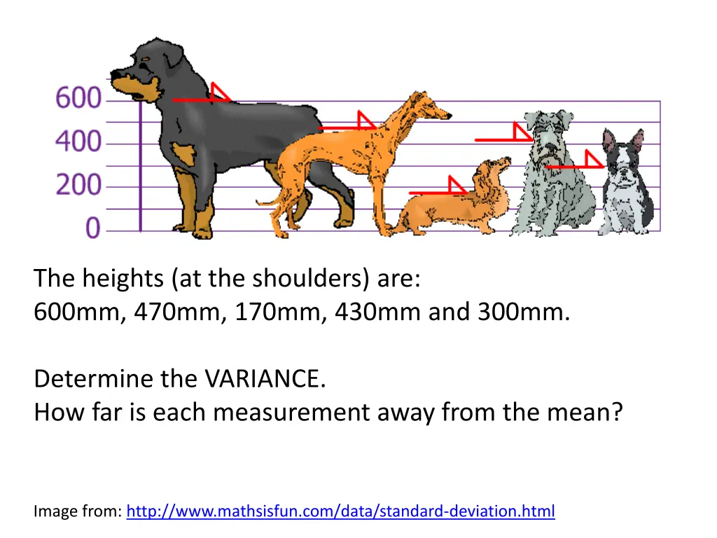 the heights at the shoulders are 600mm 470mm