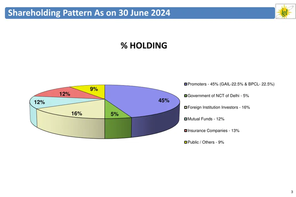 shareholding pattern as on 30 june 2024