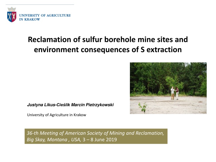 reclamation of sulfur borehole mine sites