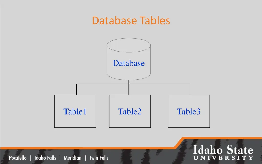 database tables