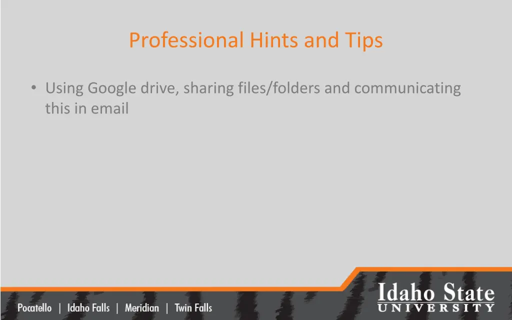 professional hints and tips