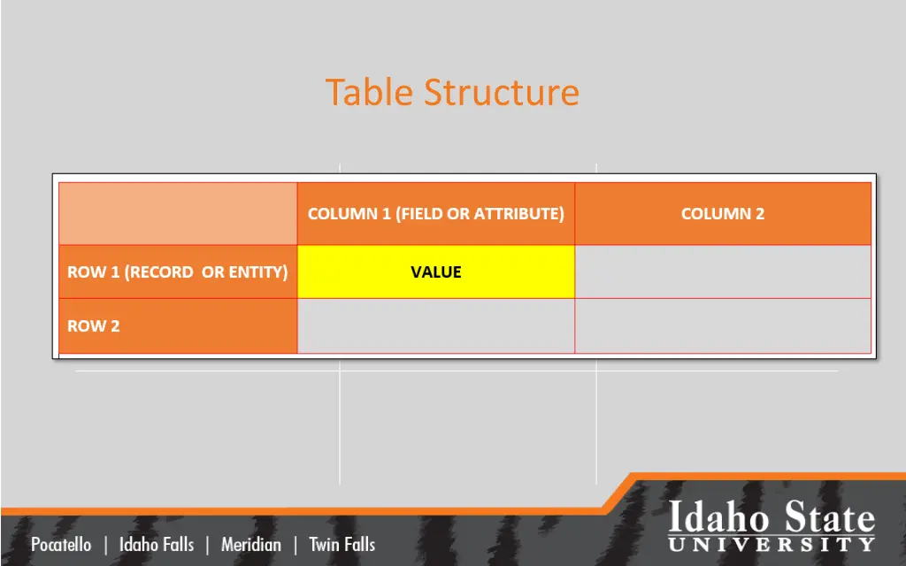 table structure
