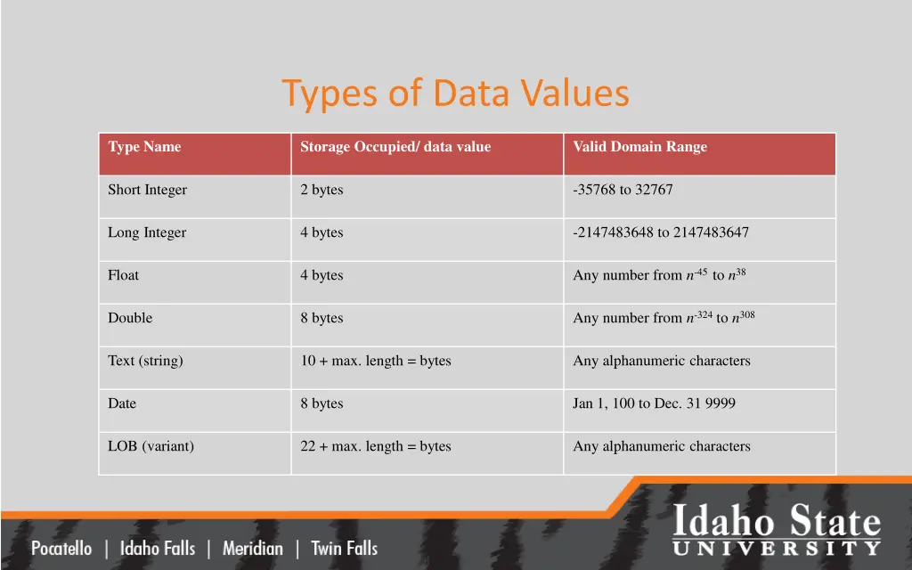 types of data values