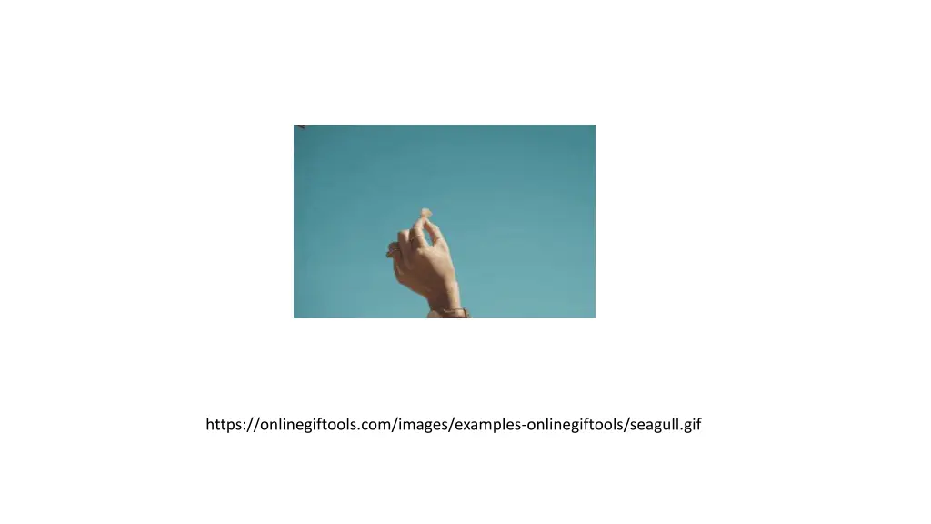 https onlinegiftools com images examples