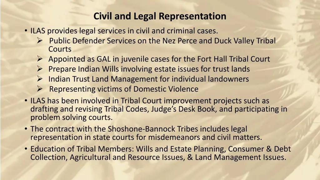 civil and legal representation