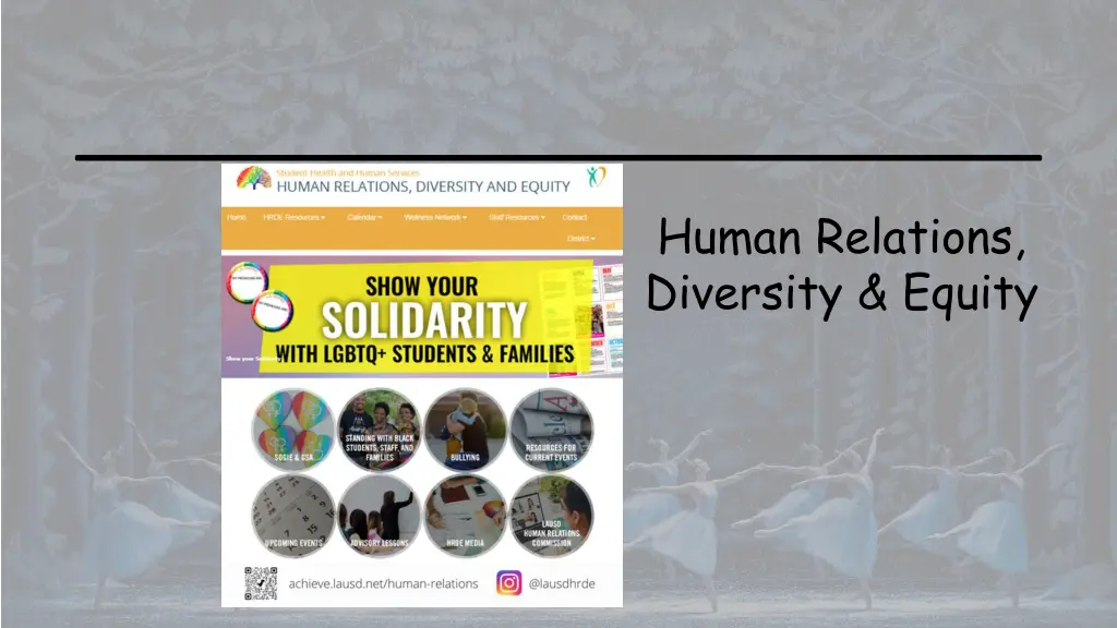 human relations diversity equity