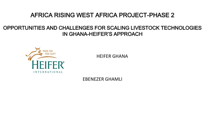 africa rising west africa project africa rising