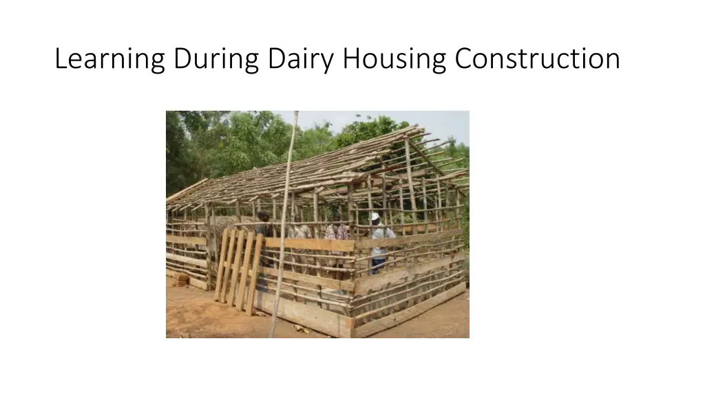 learning during dairy housing construction