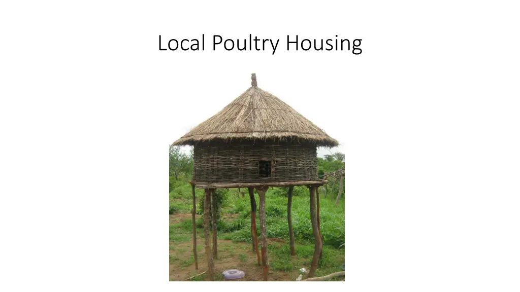 local poultry housing