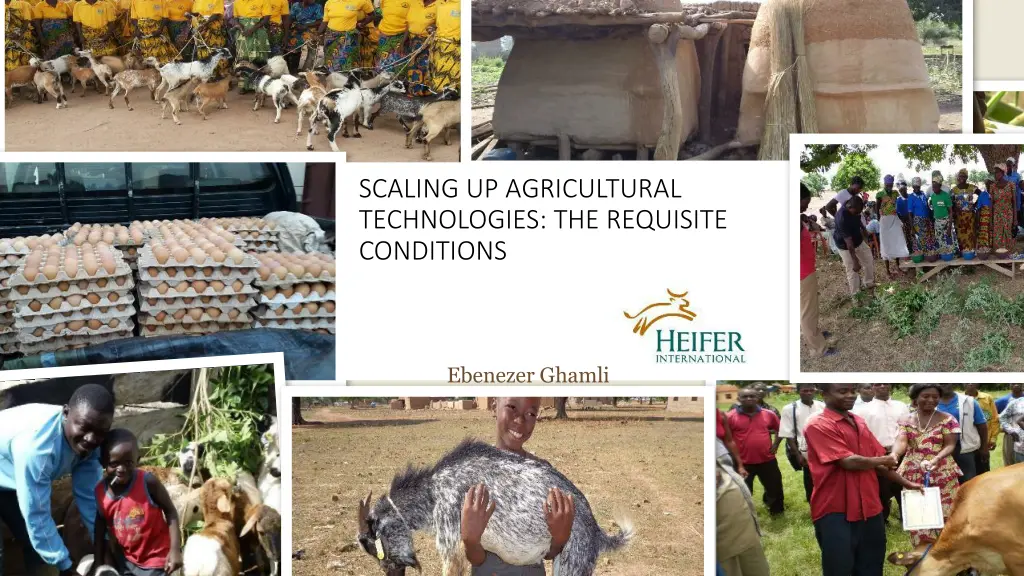 scaling up agricultural technologies