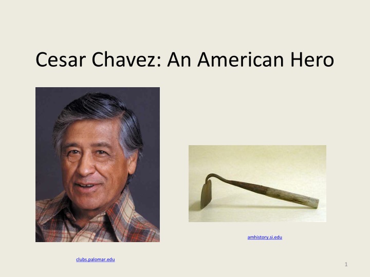 cesar chavez an american hero