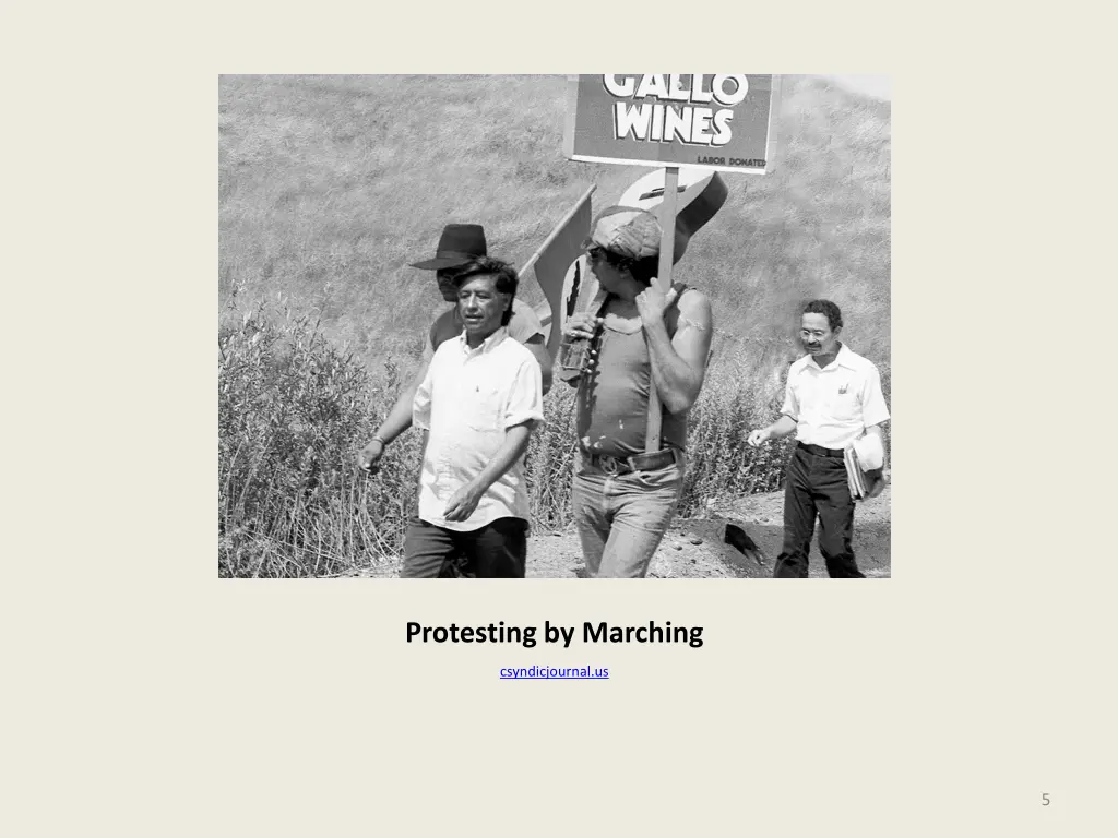 protesting by marching 1
