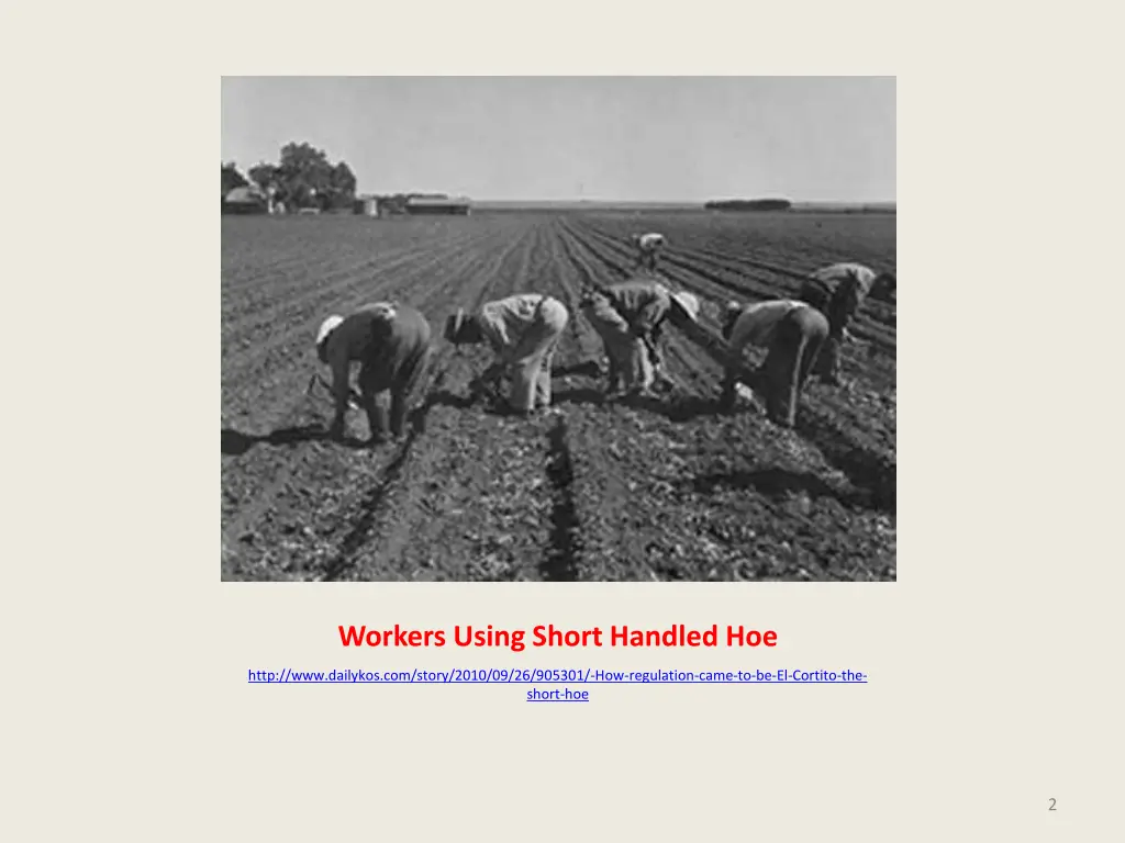 workers using short handled hoe