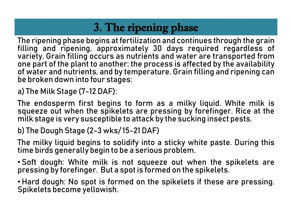 3 the ripening phase 3 the ripening phase