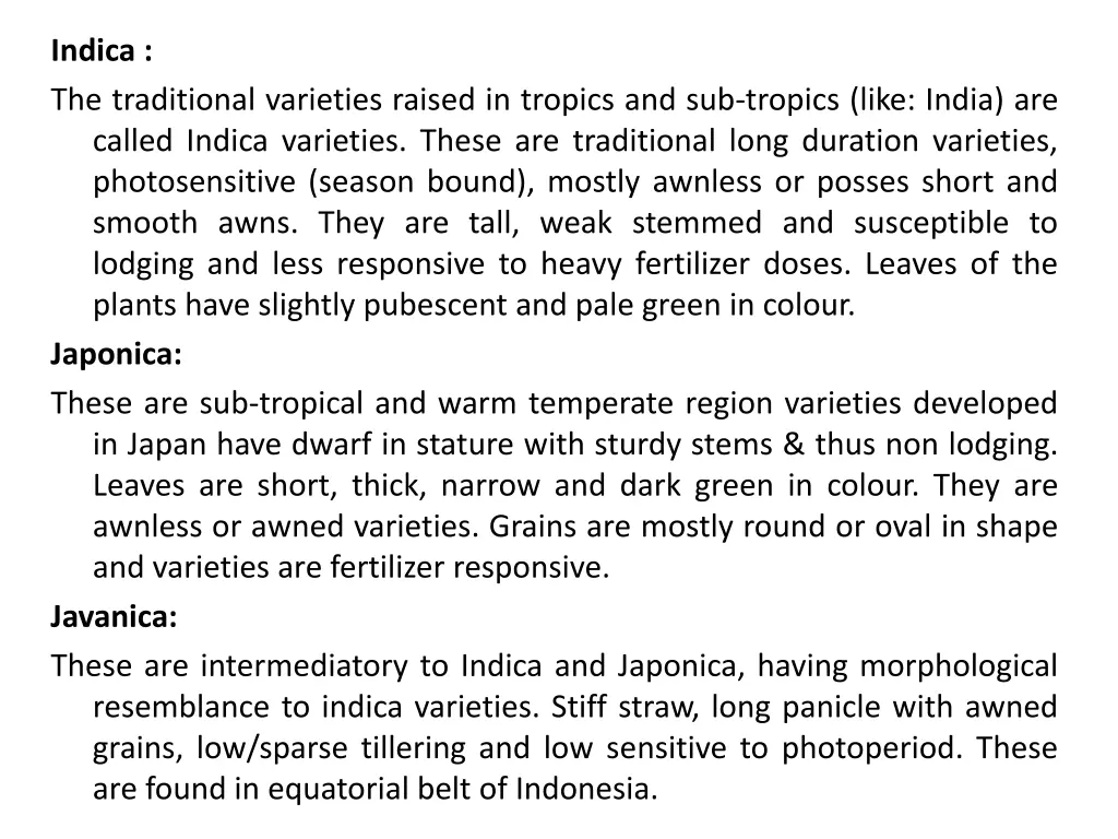 indica the traditional varieties raised