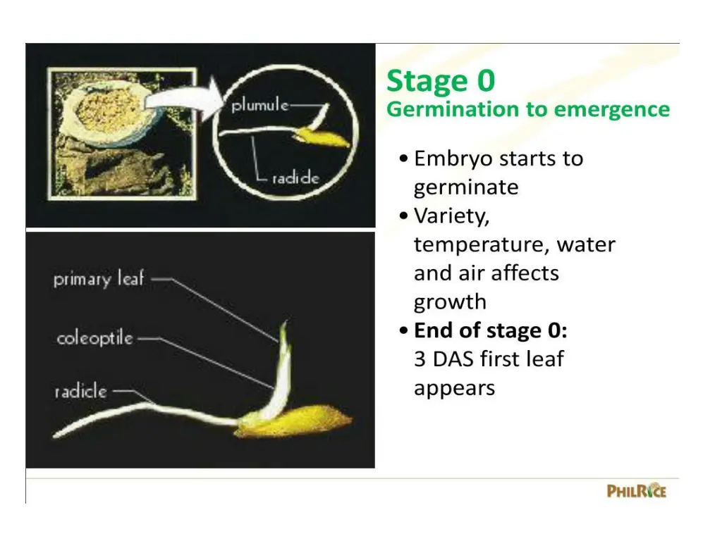 slide12