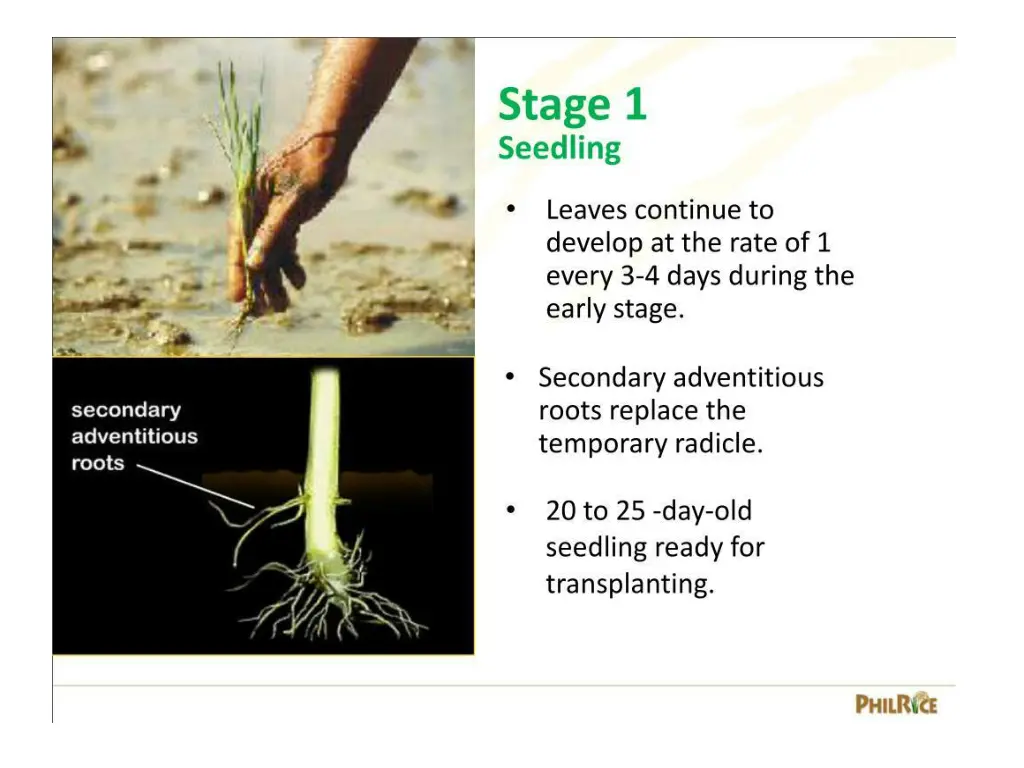 slide14