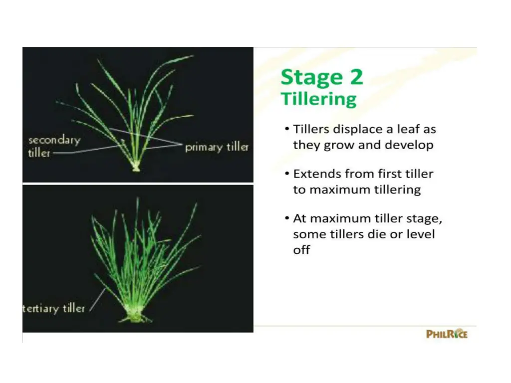 slide16