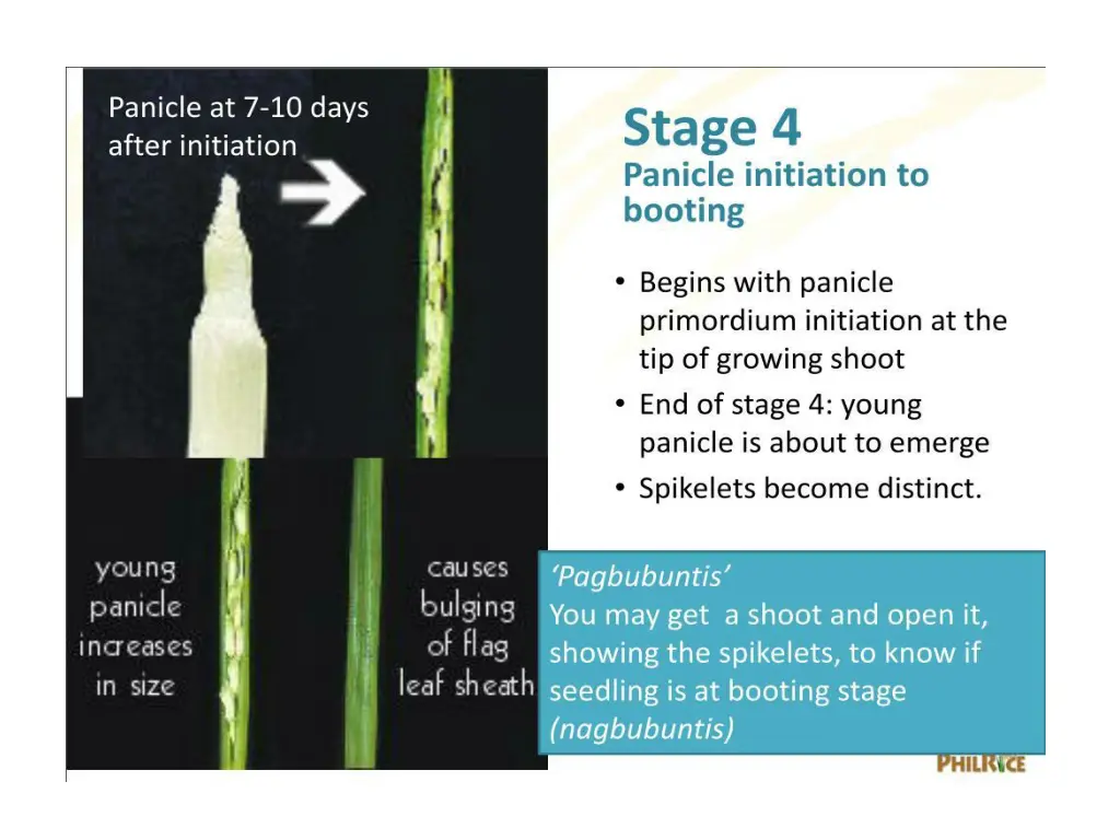 slide20