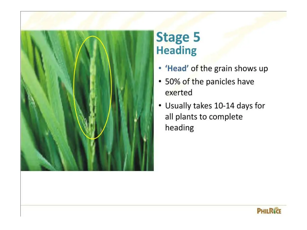 slide23
