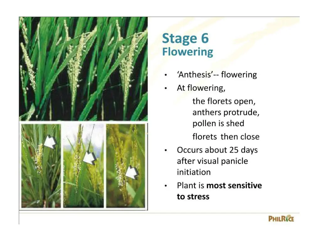 slide24